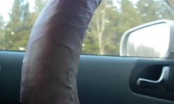 Big Delicious Cocks