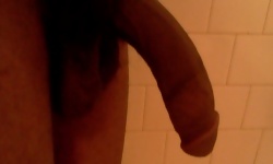 Rectum Wrecking Cocks