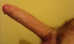 Rectum Wrecking Cocks