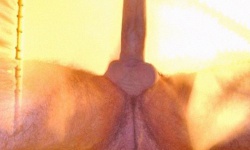 Snuffleupagus