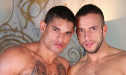 Nicolas Taxman and Stany Falcone