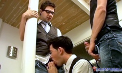 An Office Boy Threesome