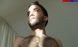 Return of the Little Wolf