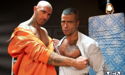 David Dirdam and Francesco D'Macho and Community Service