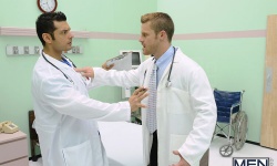 Gays Anatomy