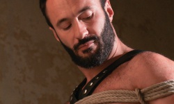 Wilfried Knight Edged