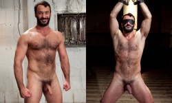 Wilfried Knight Edged