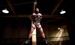 Wilfried Knight Edged