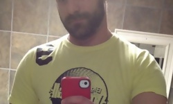 Mirror Meat Vol. 176