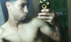 Mirror Meat Vol. 212
