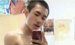 Mirror Meat Vol. 220