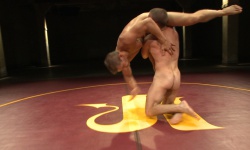 Alex Adams VS Doug Acre