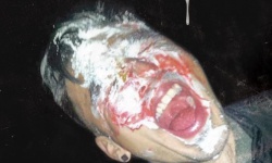 Cream Face Contest