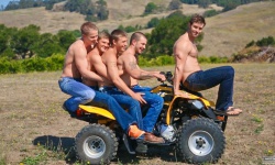 Gimme 5