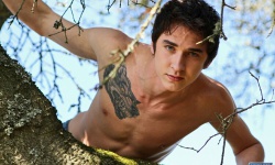 Axel Wolf