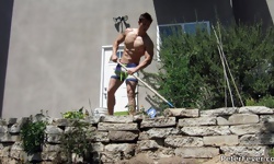 The Landscaper