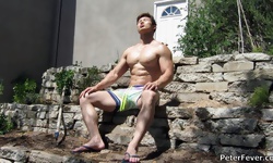 The Landscaper