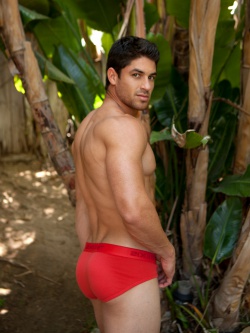 Patrick Dunne and Romeo Alfonso