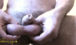 Terry's Balls