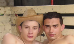 Tony Found His Willy