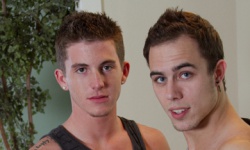 Cash and Genesis