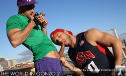 Gonzo 2
