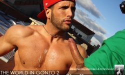 Gonzo 2