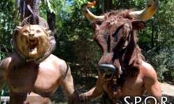 S.P.Q.R.