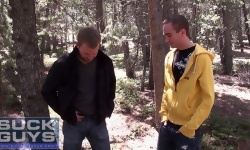 Hayden Alexander's Forest Facial