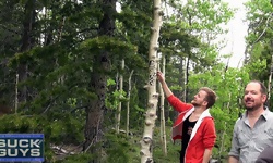 The Suck Me Tree