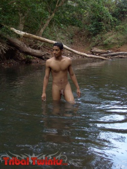 David