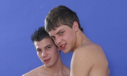 Sinful Cocks