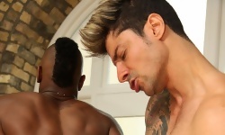 Tyson and Enzo