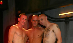 Skunk, Paul Day and Rod Painter