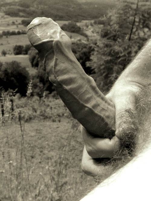 Image #2461