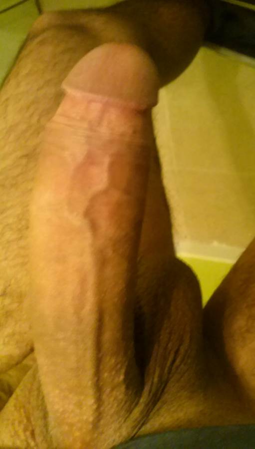 Image #2507