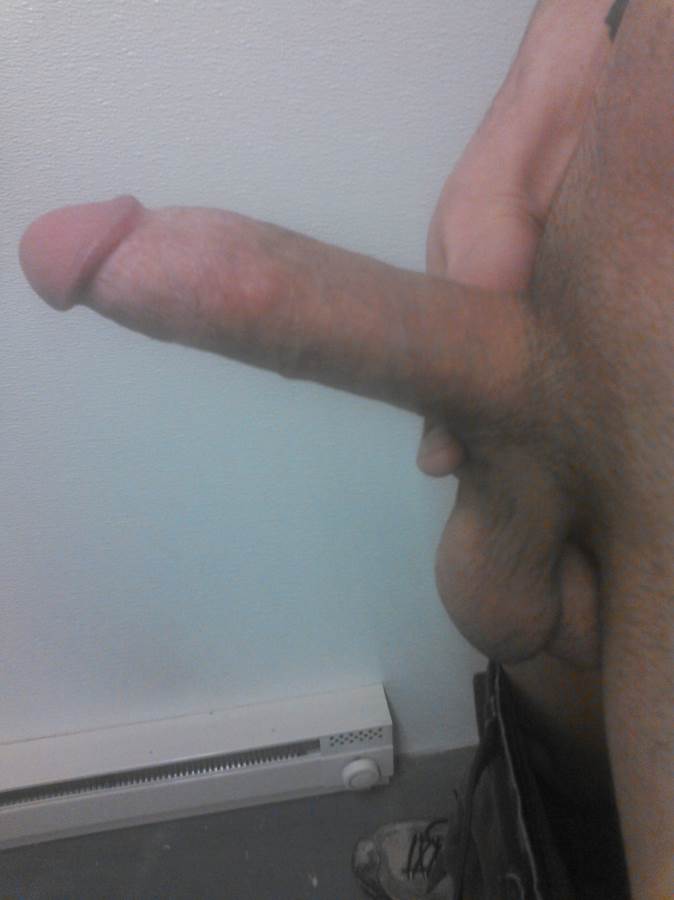 Image #2492