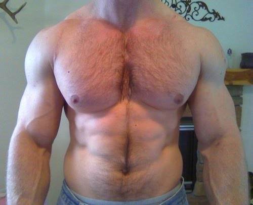 Image #2597