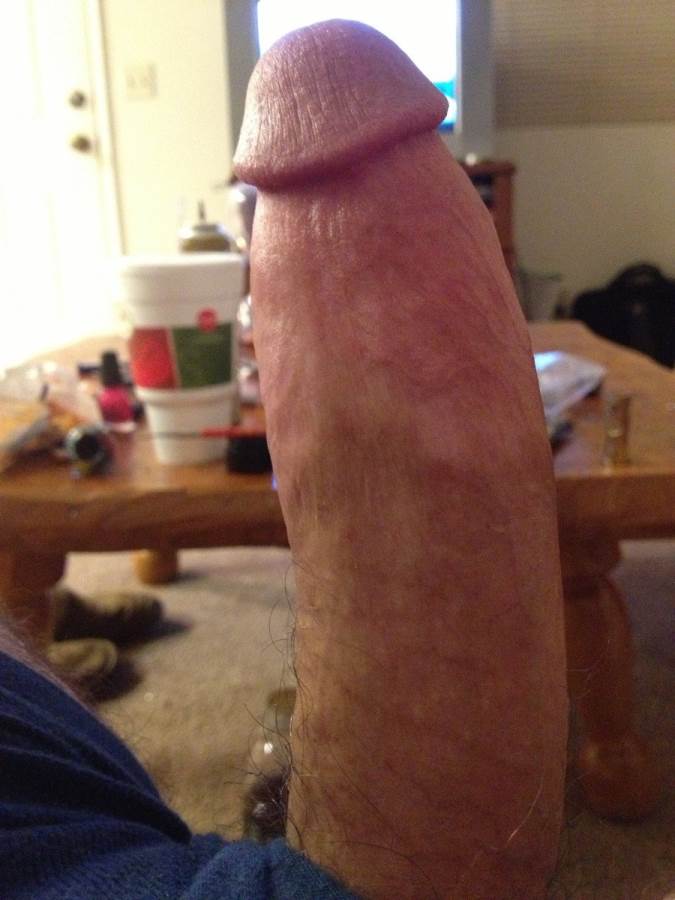 Image #2563