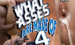 What Asses Are Made Of 4