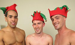 The 3 Naughty Elves