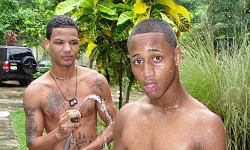 Chico and Nico