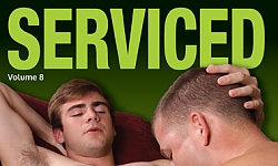 Serviced 8