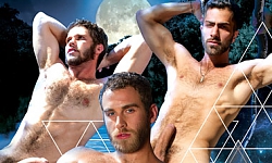 Timberwolves