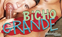 Bicho Grande