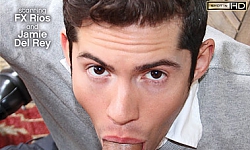 Swallow It All