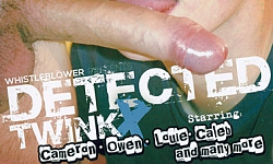 Detected Twink X