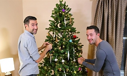 Light Of The Tree