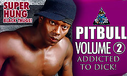 Pitbull 2 : Addicted To Dick