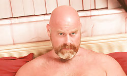 Daddy Bear Quick Cum